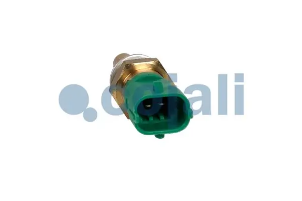 Sensor de temperatura do fluido de esfriamento Beru ST257