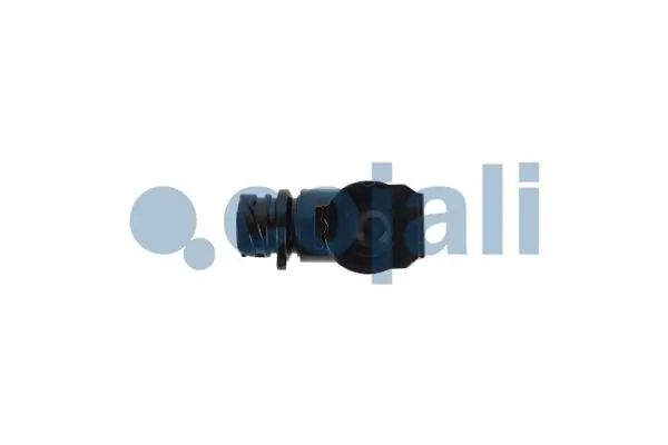 5010360034 Renault (RVI) Válvula de divisor