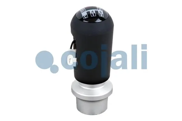 2880130 Cojali