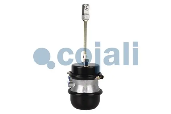 Câmara do freio (Acumulador de energia) K031736N00 Knorr-bremse