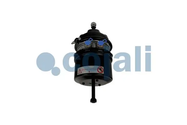 Compre 20522028 Volvo Câmara do freio (Acumulador de energia)