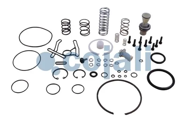 Kit de reparação de separador de umidade (TRUCK) DAF 1607420 preço, a partir de 47,49 USD