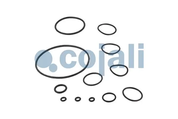 Kit de reparação da válvula mestre do freio Cojali 6012030 preço, a partir de 48,34 USD