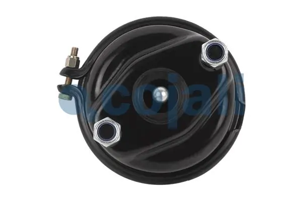 Compre A0074208418 Mercedes Câmara do freio (Acumulador de energia)