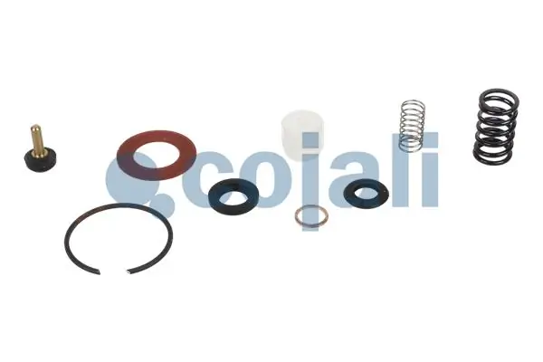 81521026166 MAN Kit de reparação de separador de umidade (TRUCK)