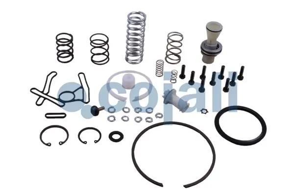 Compre 1607420 DAF Kit de reparação de separador de umidade (TRUCK)
