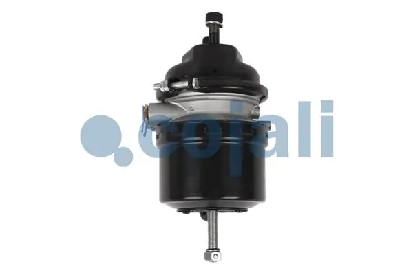 Compre 2251505 Cojali Câmara do freio (Acumulador de energia)