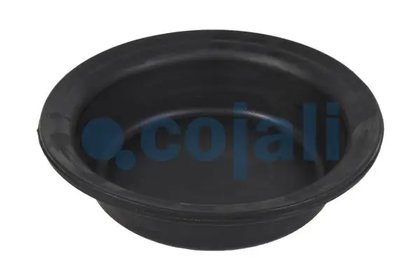 Compre 0222030900 BPW Membrana da câmara de freio