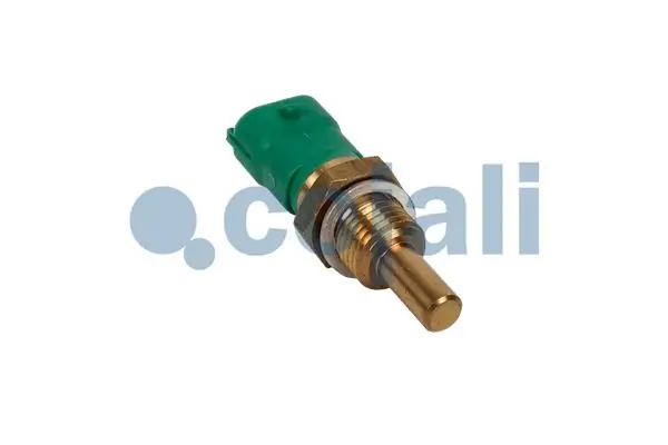 Sensor de temperatura do fluido de esfriamento ST257 Beru