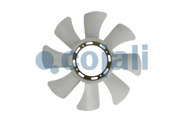 8125616 Cojali