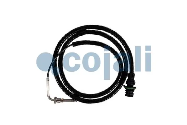 2262003 Cojali