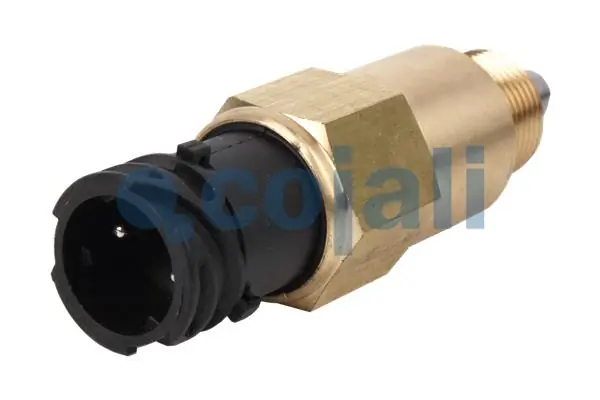 2260384 Cojali Válvula de divisor