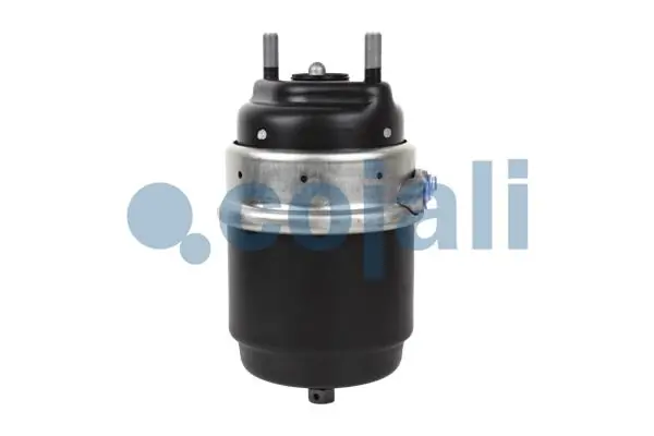Câmara do freio (Acumulador de energia) 99474409 Iveco
