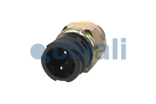 Compre 81255250257 MAN Sensor de ativação das luzes de marcha à ré