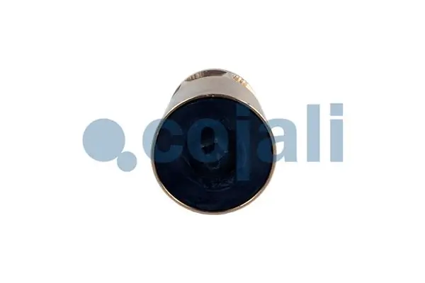 Compre 1512030 Scania 