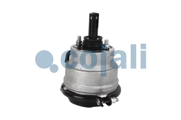 Compre K028254N00 Knorr-bremse Câmara do freio (Acumulador de energia)