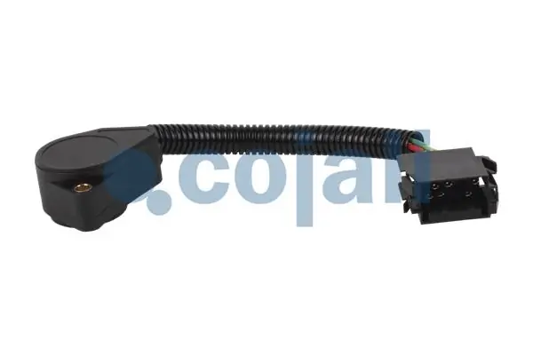 2260368 Cojali 
