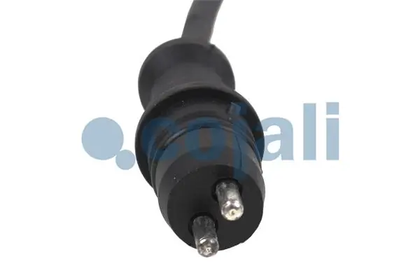 Sensor ABS traseiro Iveco 41221280