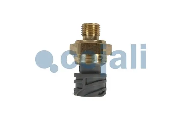 Compre Sensor de pressão de óleo DAF 105 