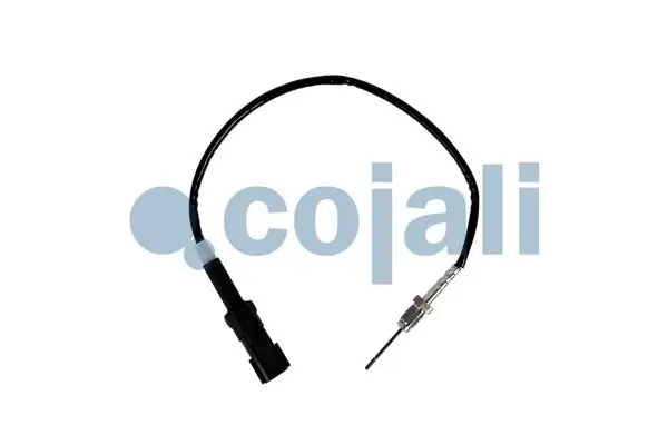 2262007 Cojali