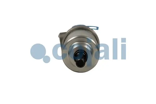 Vedante de cabeça de motor (CBC) 5010450423 Renault (RVI)