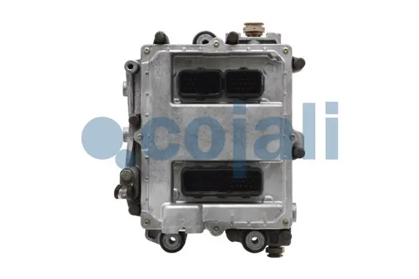 350221 Cojali