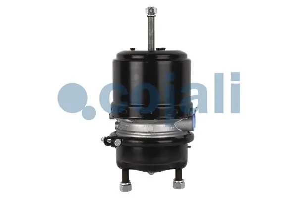 Compre 2251513 Cojali Câmara do freio (Acumulador de energia)