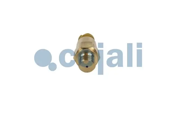 Compre Sensor de pressão de combustível MAN TGX 1