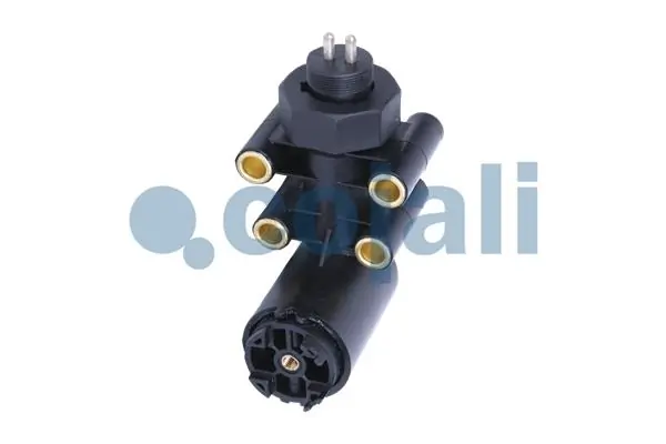 2209100 Cojali