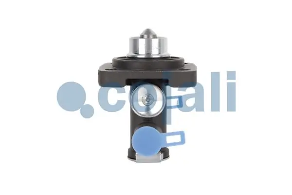 2880239 Cojali