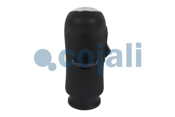 5010639250 Renault (RVI) Cabo da avalanca da Caixa de Mudança