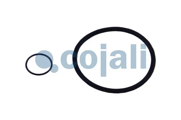 Compre 13C0108086AA Otokar Kit de reparação de separador de umidade (TRUCK)