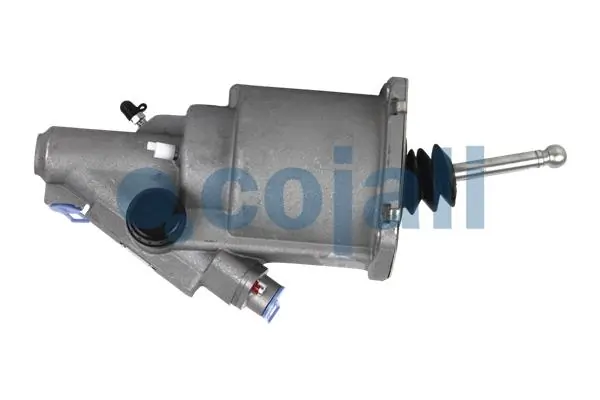 2550900 Cojali