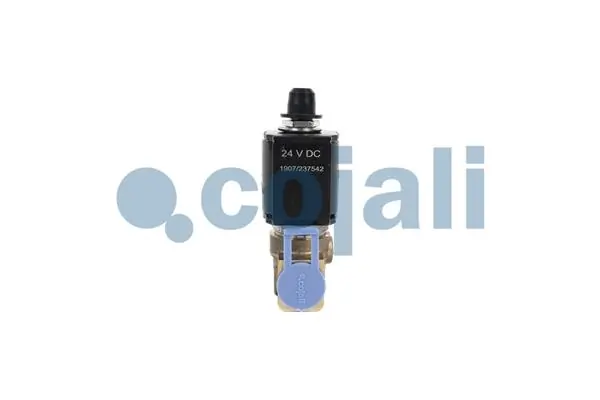 Válvula de divisor Renault (RVI) 5010360034