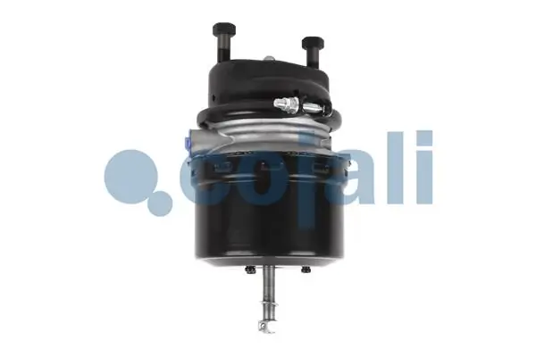 Compre 2251516 Cojali Câmara do freio (Acumulador de energia)