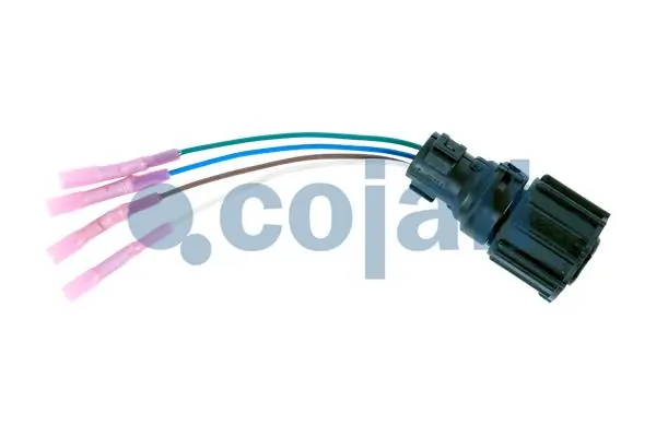 2260447 Cojali