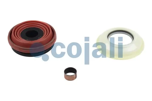 6084020 Cojali