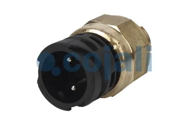 Sensor de ativação das luzes de marcha à ré MAN 81255250257