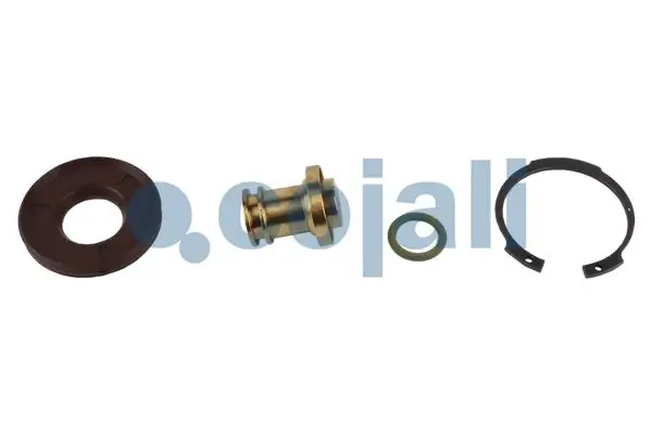 6012289 Cojali