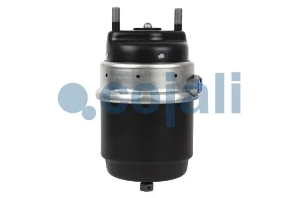 Câmara do freio (Acumulador de energia) 99482723 Iveco