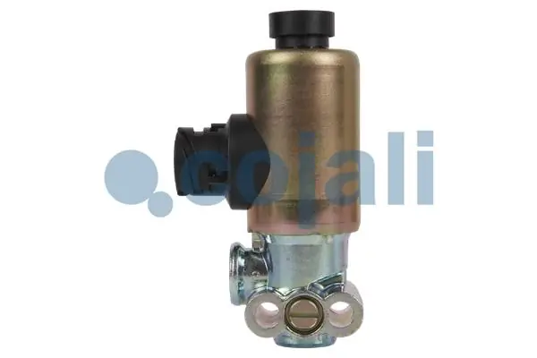Compre 81521606115 Neoplan Solenoide (válvula eletromagnética) da caixa de transferência