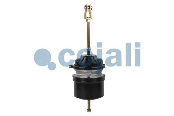 Compre A0084206018 Mercedes Câmara do freio (Acumulador de energia)