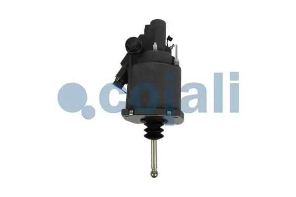 Compre 1438606 DAF Reforçador de embraiagem Reforçador Hidráulico Pneumático