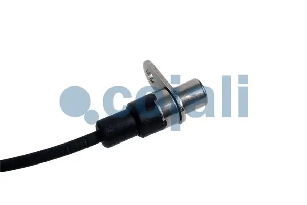 Fios isolados da seção de motor 2261204 Cojali