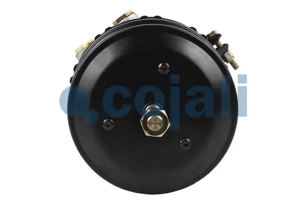 Câmara do freio (Acumulador de energia) Wabco 9254911140