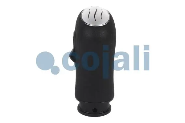Compre 5010639250 Renault (RVI) Cabo da avalanca da Caixa de Mudança