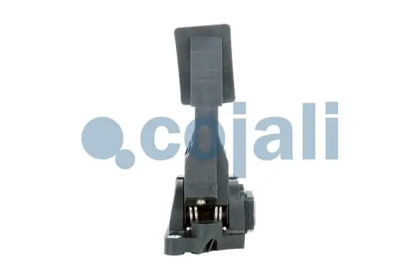  Pedal de gás (de acelerador) Mercedes Benz Truck TRUCK ACTROS MP4 / MP5 caminhão trator (2011 - 2026) MP4 / MP5