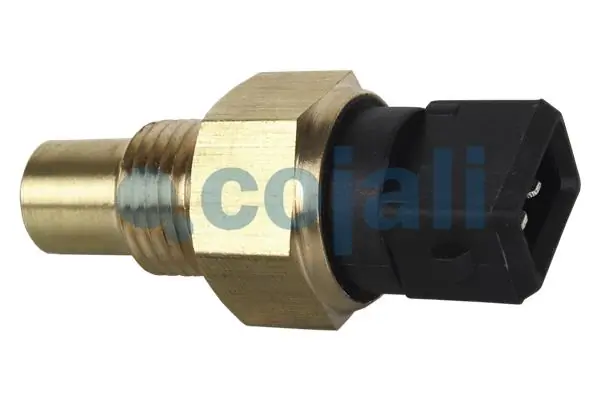 Sensor de temperatura do fluido de esfriamento (de ativação de ventilador do radiador) Volvo Trucks TRUCK FH12  