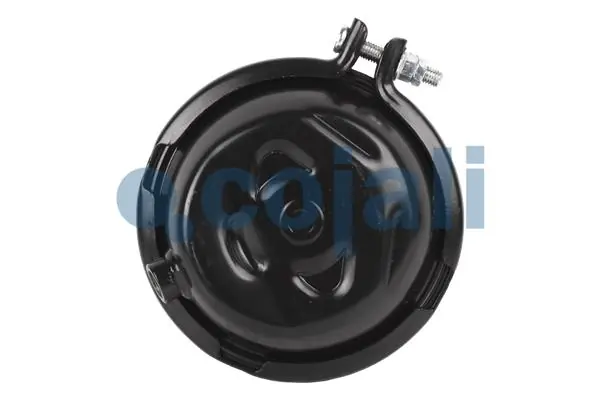 Câmara do freio (Acumulador de energia) Knorr-bremse K028254N00
