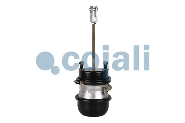 Compre K031736N00 Knorr-bremse Câmara do freio (Acumulador de energia)